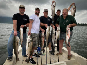 Monster Bait Series #12 - Rock Creek Striper Bass Fishing Charter Service  at Smith Mountain Lake