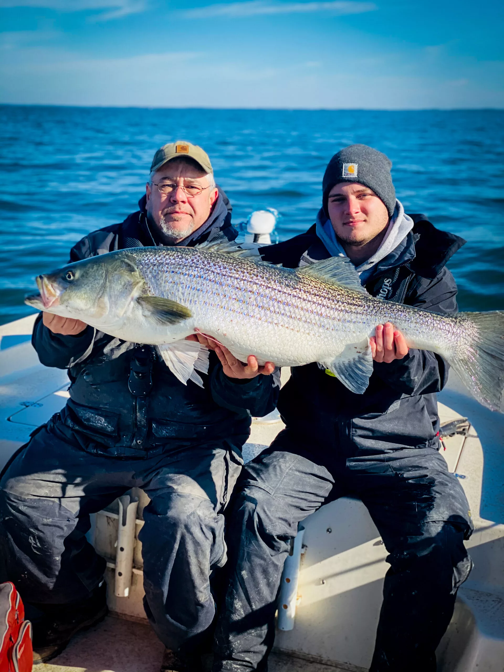A large Striper Bass fish being held up by Captain Tommy and crew.